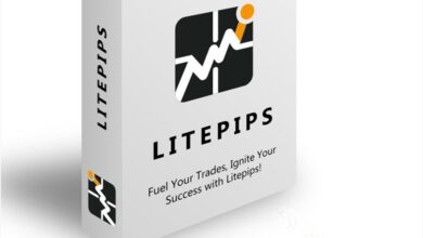 maximize-your-benefits-with-litepips:a-comprehensive-direct-for-gold-dealers