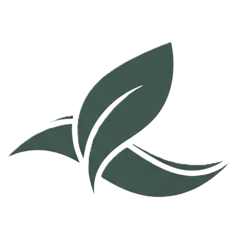 Insightful US Studies